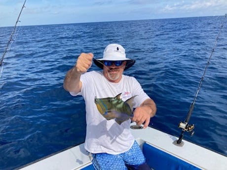 Triggerfish Fishing in West Palm Beach, Florida