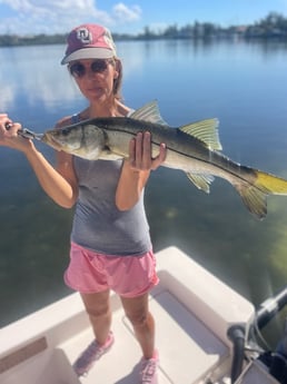 Snook Fishing in Sarasota, Florida