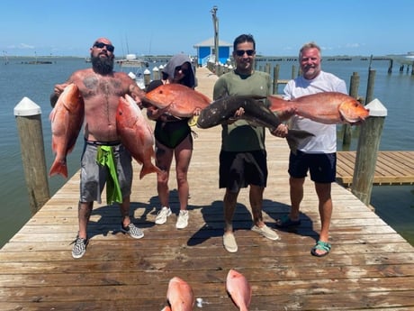 Cobia, Red Snapper Fishing in Gulf Shores, Alabama