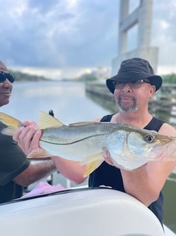 Snook fishing in Palm Coast, Florida