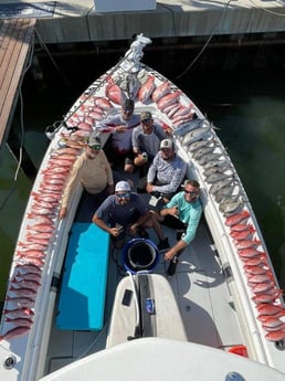 Amberjack, Red Snapper, Scup, Yellowfin Tuna, Yellowtail Snapper Fishing in Clearwater, Florida