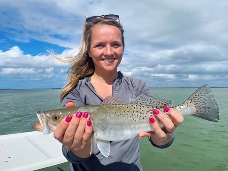 Speckled Trout / Spotted Seatrout Fishing in Tavernier, Florida
