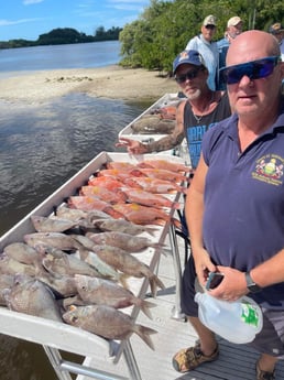 Hogfish, Scup / Porgy Fishing in Clearwater, Florida