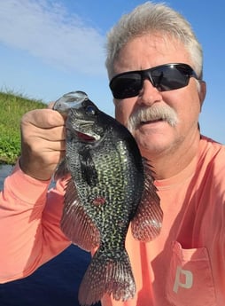 Crappie Fishing in Clewiston, Florida