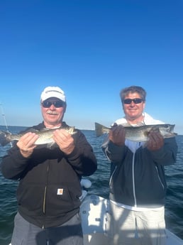 Speckled Trout / Spotted Seatrout Fishing in Tampa, Florida