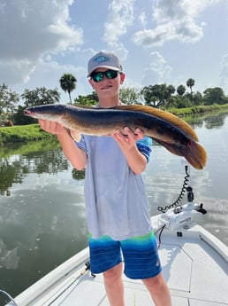 Snakehead Fishing in Jupiter, Florida