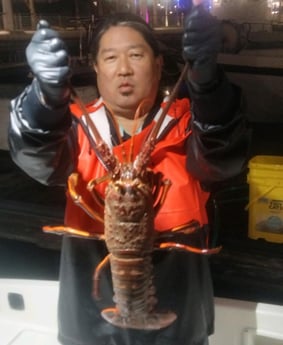 Lobster Fishing in Long Beach, California