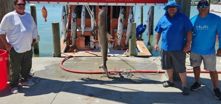 Barracuda, Blacktip Shark, Vermillion Snapper Fishing in Port Aransas, Texas
