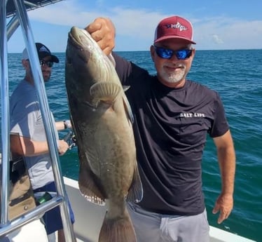 Gag Grouper fishing in St. Petersburg, Florida