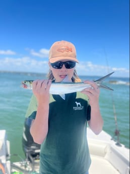 Ladyfish fishing in Mount Pleasant, South Carolina