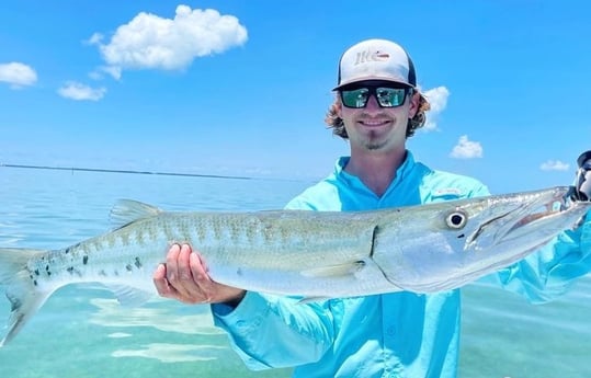 Barracuda fishing in Tavernier, Florida