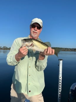 Largemouth Bass Fishing in Clearwater, Florida