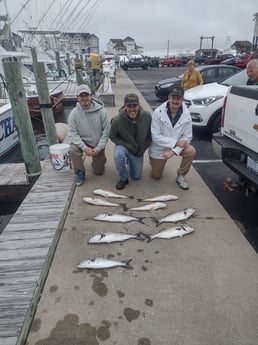 Bluefish, Redfish Fishing in Frisco, North Carolina