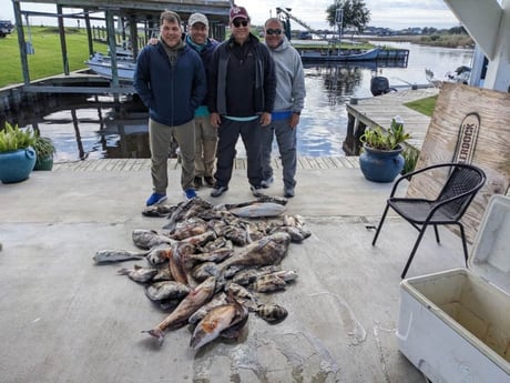 Black Drum, Redfish, Sheepshead Fishing in Sulphur, Louisiana