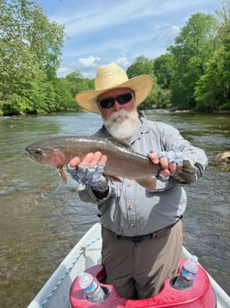 Rainbow Trout Fishing in Leicester, North Carolina
