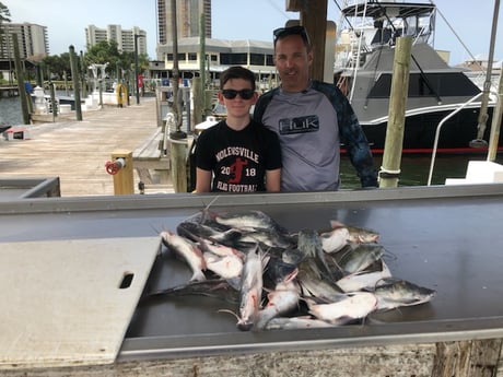Fishing in Orange Beach, Alabama