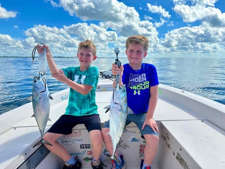 False Albacore Fishing in Sarasota, Florida