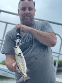 Speckled Trout / Spotted Seatrout fishing in Johns Island, South Carolina