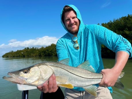 Snook Fishing in Tavernier, Florida