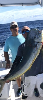 Mahi Mahi Fishing in Clearwater, Florida