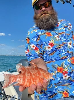 Snook fishing in Sarasota, Florida