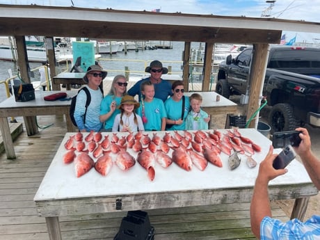 Amberjack, Red Snapper, Scup, Vermillion Snapper Fishing in Gulf Shores, Alabama
