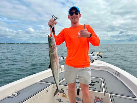 Kingfish Fishing in Sarasota, Florida