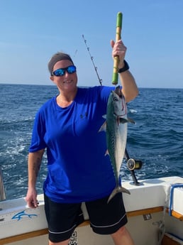 Little Tunny / False Albacore Fishing in Destin, Florida