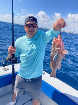 Red Grouper Fishing in West Palm Beach, Florida
