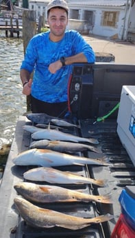 Black Drum, Redfish fishing in Dickinson, Texas