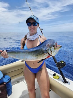Mahi Mahi Fishing in Fort Lauderdale, Florida