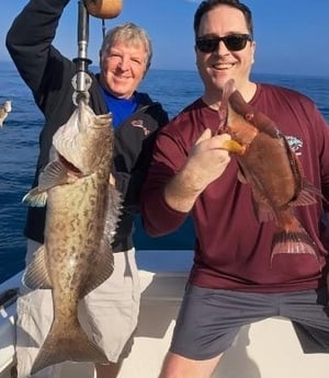 Gag Grouper, Hogfish Fishing in Clearwater, Florida