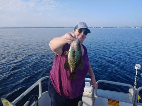 Crappie Fishing in Kissimmee, Florida