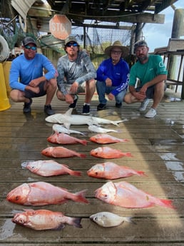 Grunt, Red Snapper, Hardhead Catfish fishing in Surfside Beach, Texas