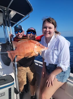 Amberjack fishing in Clearwater, Florida