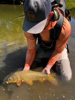 Carp Fishing in Austin, Texas