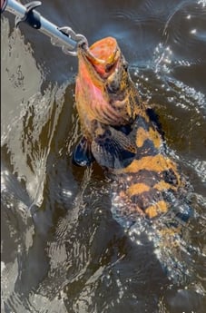 Fishing in Port Orange, Florida