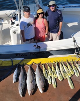 Amberjack, King Mackerel / Kingfish, Mahi Mahi / Dorado Fishing in Panama City, Florida