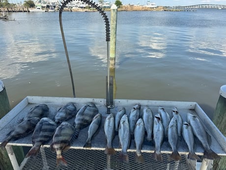 Fishing in Biloxi, Mississippi