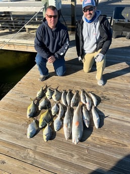 Permit, Redfish, Speckled Trout Fishing in Orange Beach, Alabama