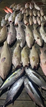 Fishing in Tierra Verde, Florida
