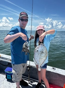 Spadefish, Triggerfish Fishing in Crystal River, Florida