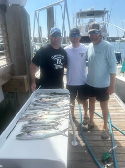 Spanish Mackerel Fishing in Wilmington, North Carolina