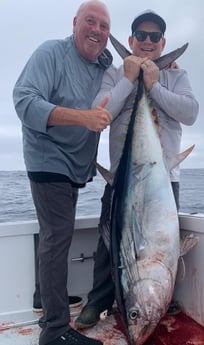 Bluefin Tuna Fishing in Dana Point, California