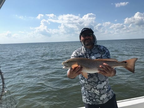 Redfish fishing in Freeport, Florida