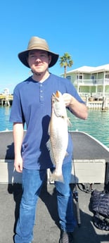 Speckled Trout / Spotted Seatrout Fishing in Port Isabel, Texas