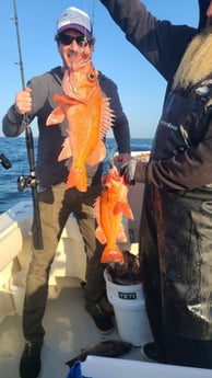 Rockfish Fishing in Bodega Bay, California