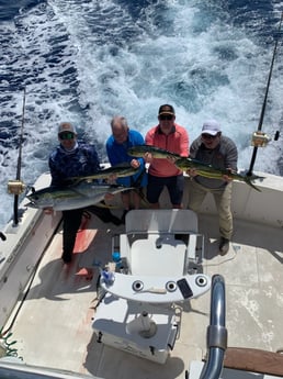 Mahi Mahi / Dorado, Yellowfin Tuna fishing in Kailua-Kona, Hawaii