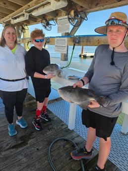 Fishing in Orange Beach, Alabama