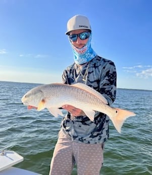 Redfish fishing in Fort Myers, Florida